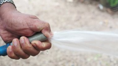 Bahçıvan çiçekleri su hortumuyla sular, ağaç bakımı konseptiyle.