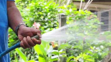 Bahçıvan çiçekleri su hortumuyla sular, ağaç bakımı konseptiyle.