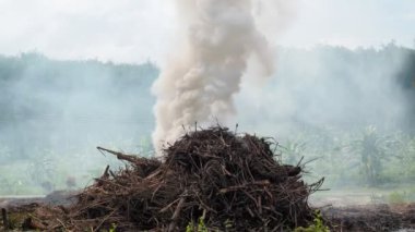 Hava kirliliği alanları tarıma hazırlamak için yanan dallardan duman çıkarıyor. Hava kirliliği kavramı