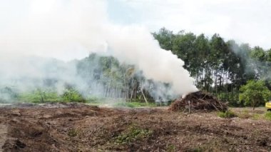 Hava kirliliği alanları tarıma hazırlamak için yanan dallardan duman çıkarıyor. Hava kirliliği kavramı