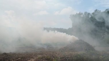 Hava kirliliği alanları tarıma hazırlamak için yanan dallardan duman çıkarıyor. Hava kirliliği kavramı