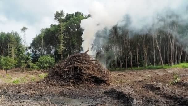 燃焼枝からの大気汚染煙農業のための領域を準備する 大気汚染の概念 — ストック動画