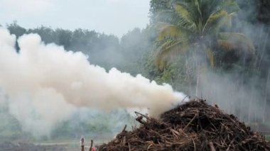 Hava kirliliği alanları tarıma hazırlamak için yanan dallardan duman çıkarıyor. Hava kirliliği kavramı