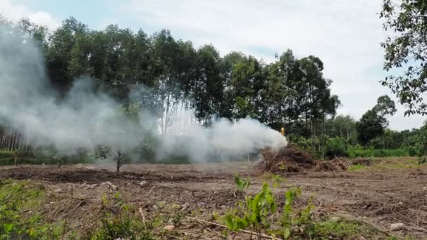 Zanieczyszczenie Powietrza Dymem Płonących Gałęzi Aby Przygotować Obszary Rolnictwa Koncepcja — Wideo stockowe
