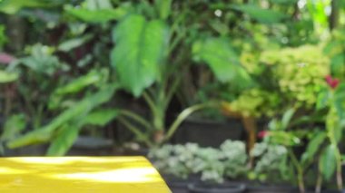 Bir bardak buzlu temiz içme suyu. Sağlıklı içme suyu kavramı