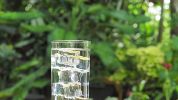 Segelas Air Minum Bersih Dengan Konsep Air Minum Yang Sehat — Stok Video