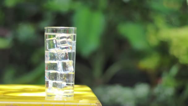 Vaso Agua Potable Limpia Con Hielo Concepto Agua Potable Saludable — Vídeos de Stock