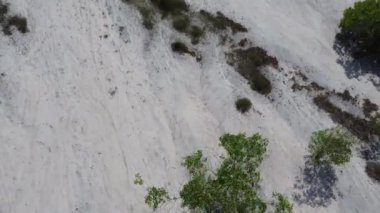 Kum tepecikli yeşil ağaçlı hava manzarası 