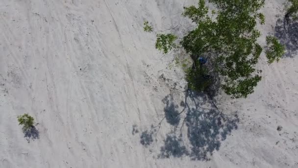 Vista Aérea Paisagem Arenosa Com Árvores Durante Dia — Vídeo de Stock
