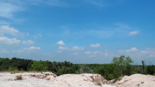 Belle Forêt Verte Ciel Bleu Avec Nuages — Video