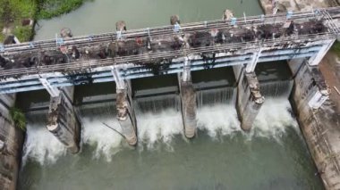 Tayland kırsalındaki küçük bir barajın havadan görünüşü kurak mevsimde su kullanımını mümkün kılıyor