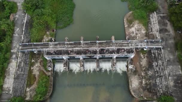Flygfoto Över Liten Damm Landsbygden Thailand Som Gör Vatten Tillgängligt — Stockvideo