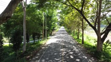 Yol kenarına ağaçlar dikilmiş gölgeli bir yol.