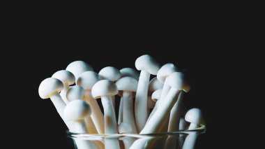 Siyah arkaplanda beyaz Shimeji mantarlarının yakın plan çekimi