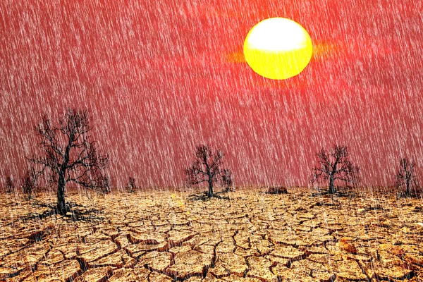 Rainy Drought Area Because World Climate Changing Rapidly Unpredictable Weather — Stock Photo, Image