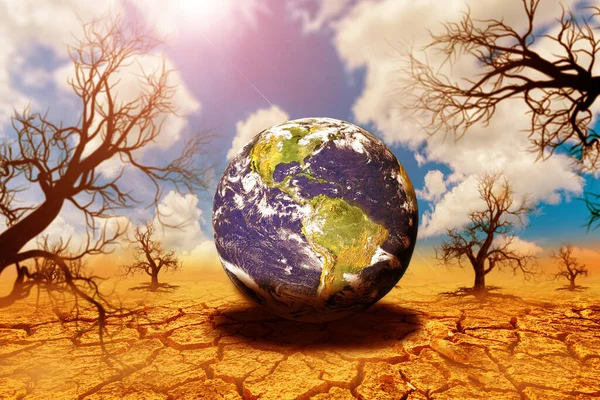 Земля Тріснула Дощ Падає Сезон Відбулася Посуха Через Глобальне Потепління — стокове фото