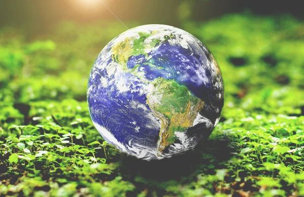 World Map Globe Earth Environment Nature Concept — Stockfoto