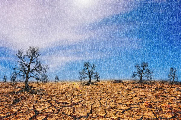 Tierra Está Agrietada Lluvia Cae Temporada Hubo Una Sequía Debido — Foto de Stock