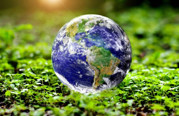 Globo Terrestre Ambiente Verde Com Grama Fundo Turvo Azul Natureza — Fotografia de Stock