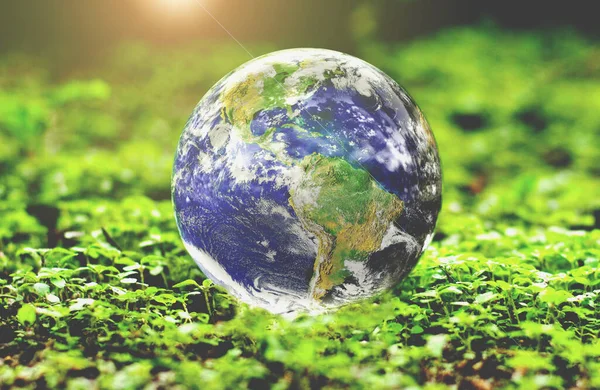 Green Globe Earth Nature — Stockfoto