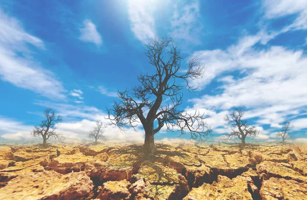 Concepto Calentamiento Global Cambio Ambiental Árboles Muertos Zonas Sequía —  Fotos de Stock