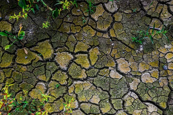 Fondo Textura Suelo Agrietado Seco — Foto de Stock