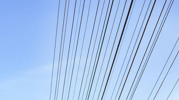 Electrical Wires Signal Wires Blue Sky Space Content — Stockfoto