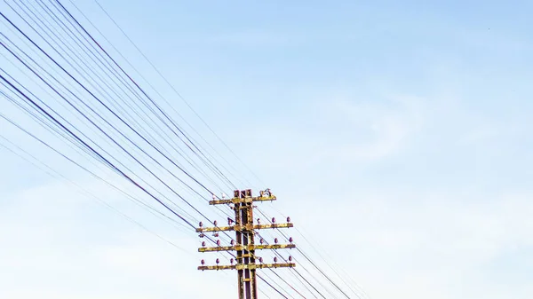 Electrical Wires Signal Wires Blue Sky Space Content — 스톡 사진