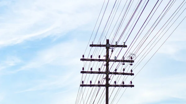 Telegraph Poles Many Wires Old Communication Space Content — Stockfoto