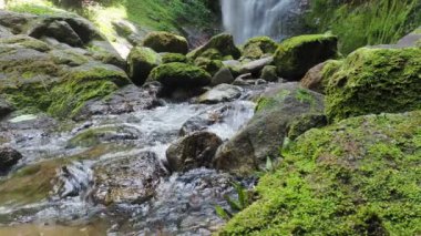 Doğanın arka planında güzel bir dağ deresi