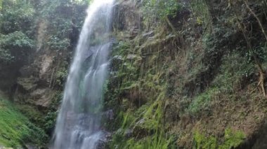 Ormanda, doğa arka planında güzel bir şelale