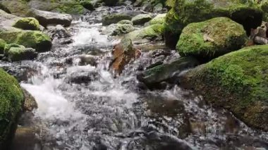 Doğanın arka planında güzel bir dağ deresi