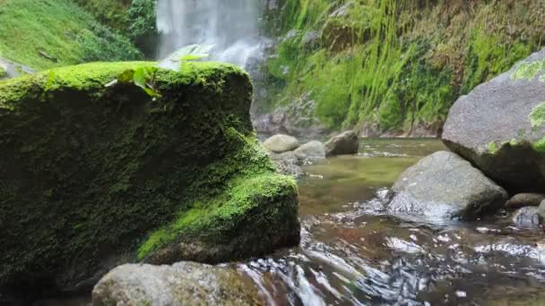 Hermosa Cascada Bosque Sobre Fondo Naturaleza — Vídeo de stock