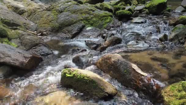 Magnifique Ruisseau Montagne Sur Fond Nature — Video