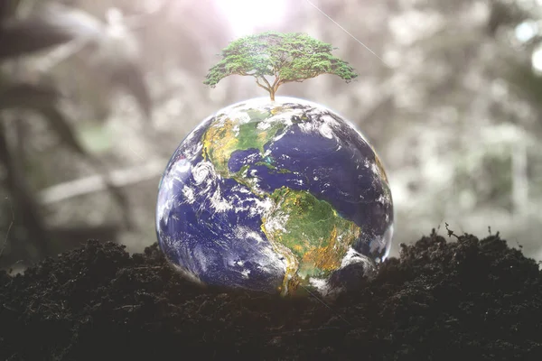 Concept Sauver Monde Environnement Globe Terrestre — Photo