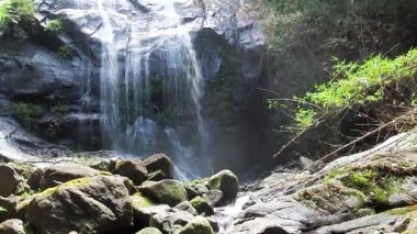 Ormanda, doğa arka planında güzel bir şelale
