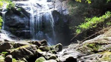 Ormanda, doğa arka planında güzel bir şelale