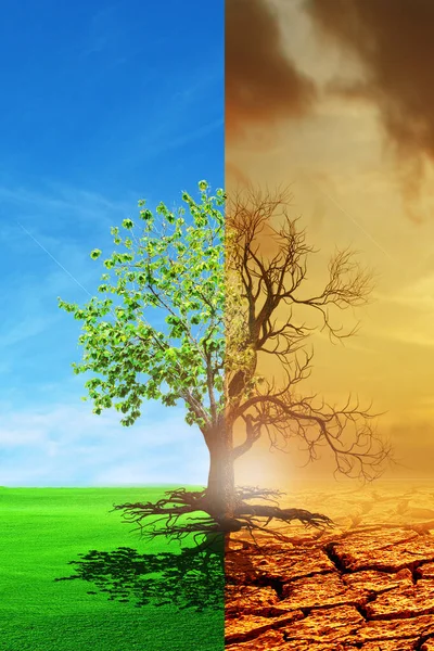 Klimatförändringen Från Torka Till Grön Tillväxt Klimatförändringarna Förtorkade Jorden Begreppet — Stockfoto