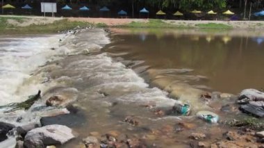 Parktaki nehrin güzel manzarası