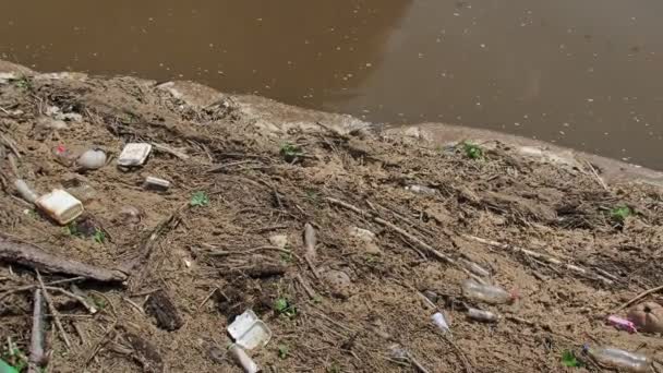 森や川の古い汚れたゴミは — ストック動画