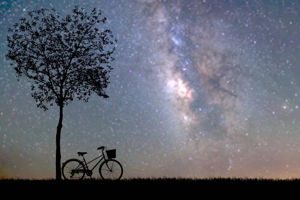 Milchstraße Hat Ein Fahrrad Und Einen Herzförmigen Baum Das Konzept — Stockfoto