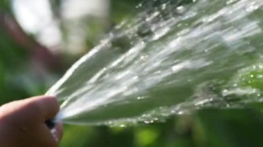 Asyalı adam yazın bahçedeki çimenleri suluyor..