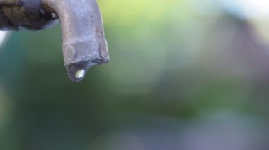  Açık havada bir parkta musluk var.