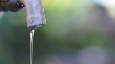  Açık havada bir parkta musluk var.