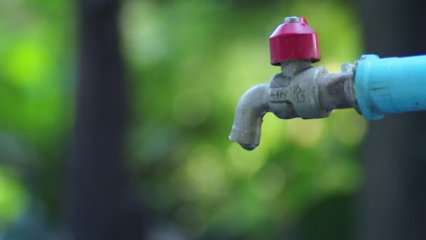 Waterkraan Een Park Buiten — Stockvideo