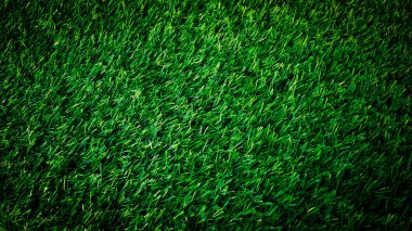 Ağ veya yazdırma arkaplanlarında kullanılan soyut yeşil çimen arkaplan resimleri.