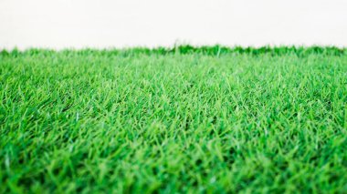 Ağ veya yazdırma arkaplanlarında kullanılan soyut yeşil çimen arkaplan resimleri.