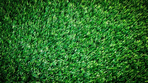 Streszczenie Zielona Trawa Tło Obrazy Stosowane Internecie Lub Druku Tła — Zdjęcie stockowe