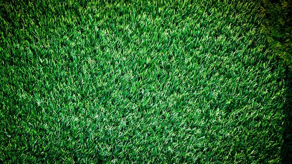 Streszczenie Zielona Trawa Tło Obrazy Stosowane Internecie Lub Druku Tła — Zdjęcie stockowe