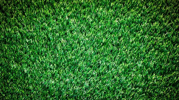 Abstract Green Grass Background Images Used Web Print Backgrounds — Stock Photo, Image